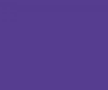 Sulphur Springs Neighborhood of Promise