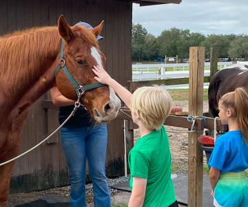 Horseback Riding at the YMCA